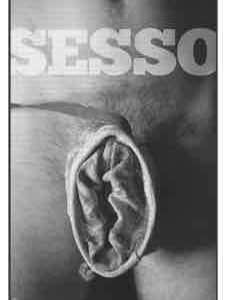 Vulva