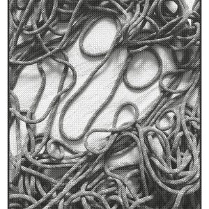 Rope